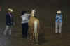IMG_3519_Small.JPG (37925 bytes)