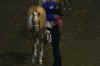 IMG_3520_Small.JPG (39375 bytes)