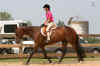 IMG_5419 (Small).jpg (49552 bytes)