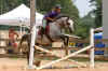 IMG_5475 (Small).jpg (71992 bytes)