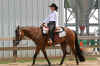 IMG_5557 (Small).jpg (63903 bytes)