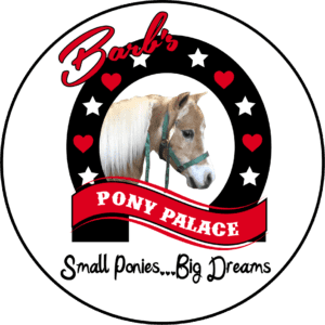 Barb's Pony Palace